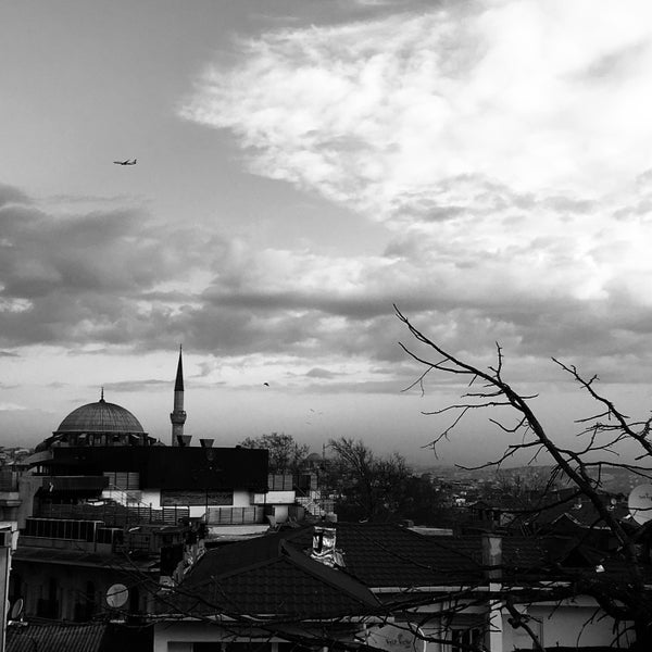 3/13/2018にSibelがİstanbul Üniversitesi Fen Fakültesiで撮った写真
