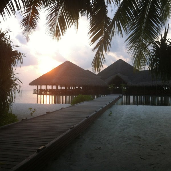 Medhufushi Island Resort 5