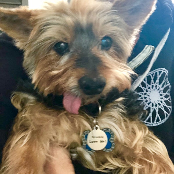 Das Foto wurde bei The Animal Medical Center von Lupin am 6/14/2019 aufgenommen