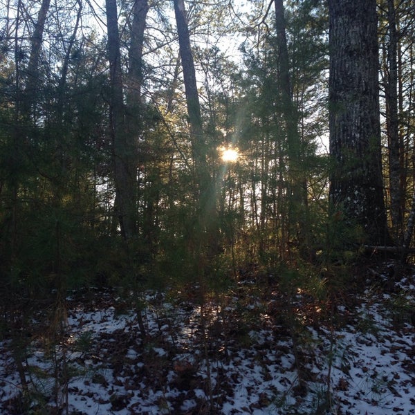 Photos At Above The Falls Rental By Aunt Bugs Cabin Rentals 1