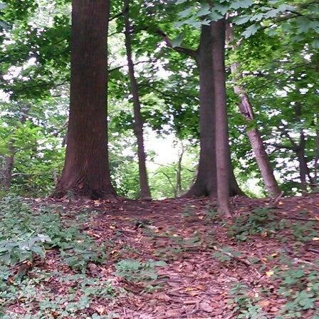 Riverdale Park Map Nyc Parks