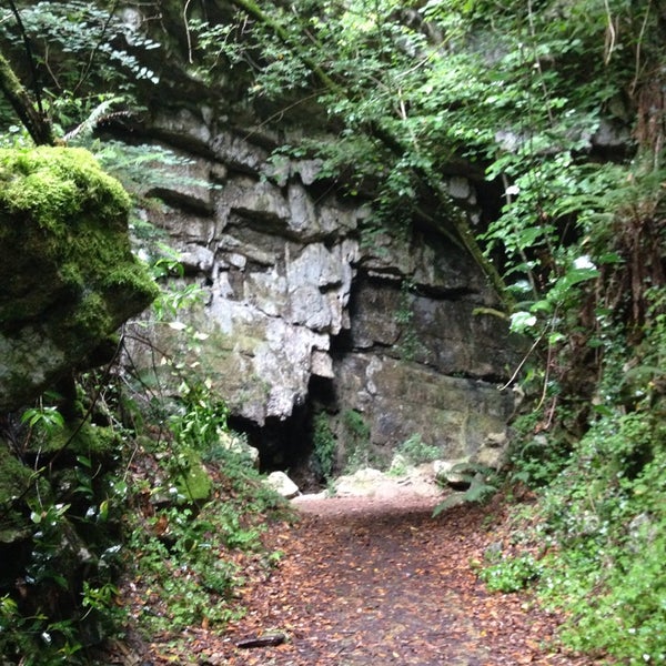 Cueva de El Pendo Field