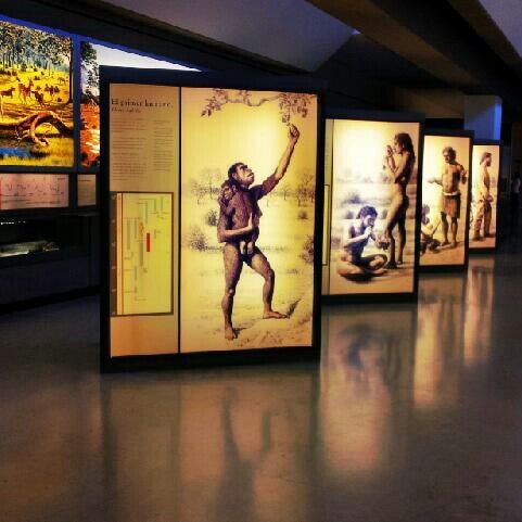 4/5/2013 tarihinde Silvia E.ziyaretçi tarafından Museo de Altamira'de çekilen fotoğraf