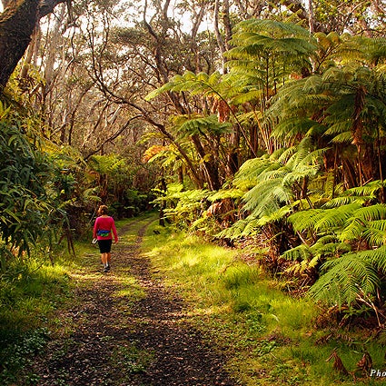 Early in the morning, hike the four-mile Kilauea Iki trail that leads along the crater rim, through dense fern forests filled with the songs of unseen birds.