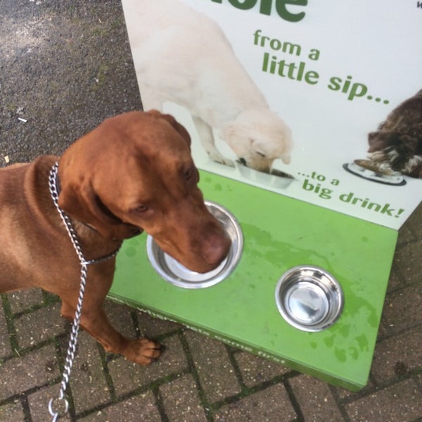 Pets at Home 7 tips from 146 visitors