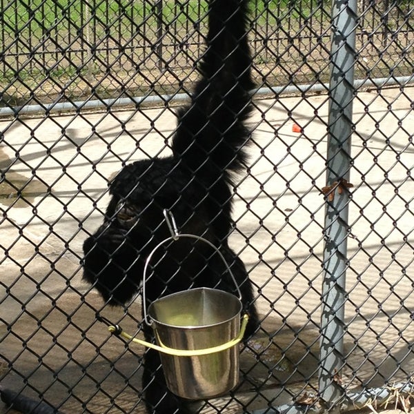 Photo taken at Roosevelt Park Zoo by Nicole on 6/2/2013