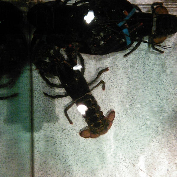 12/18/2014에 Cyril P.님이 Red Lobster에서 찍은 사진