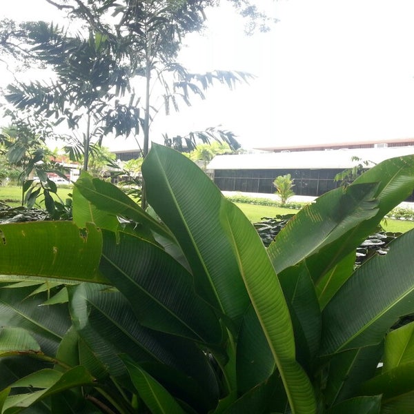 Photos At Jabatan Perhutanan Sandakan 1 Tip