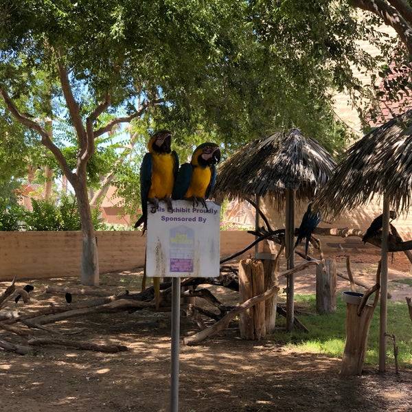 7/4/2019에 Jess G.님이 Wildlife World Zoo, Aquarium &amp; Safari Park에서 찍은 사진