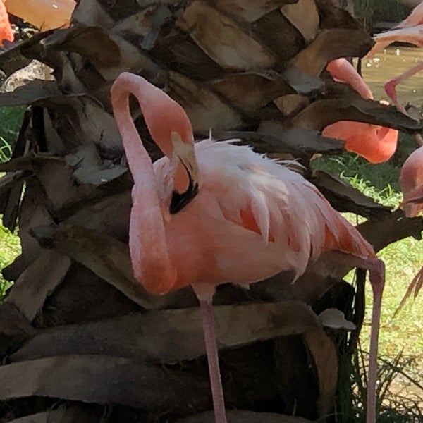 Foto diambil di Wildlife World Zoo, Aquarium &amp; Safari Park oleh Jess G. pada 7/4/2019