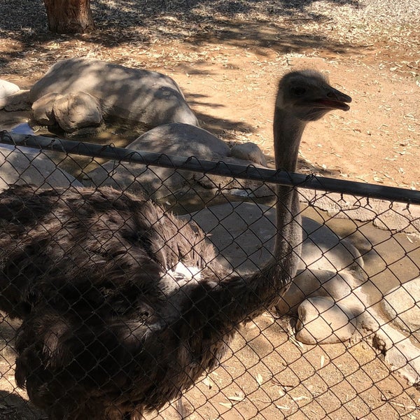 Foto scattata a Wildlife World Zoo, Aquarium &amp; Safari Park da Jess G. il 7/4/2019