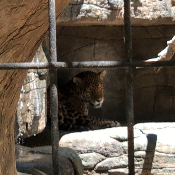 Снимок сделан в Wildlife World Zoo, Aquarium &amp; Safari Park пользователем Jess G. 7/4/2019