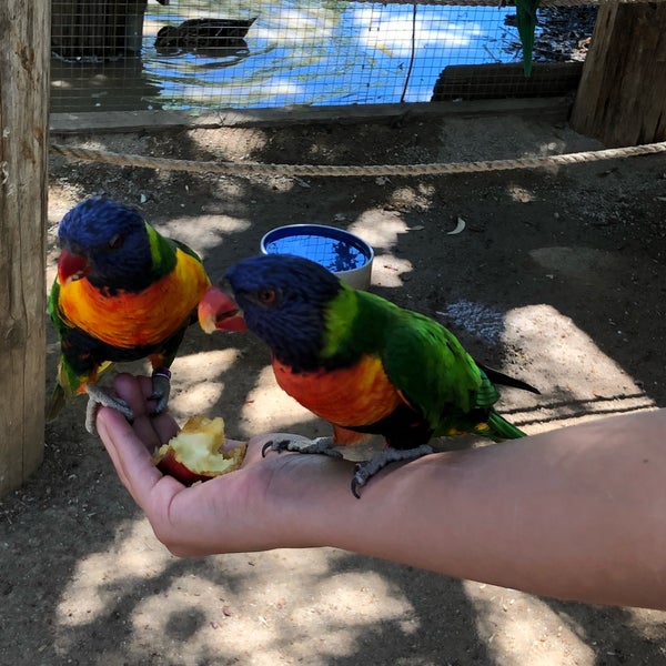 Photo taken at Wildlife World Zoo, Aquarium &amp; Safari Park by Jess G. on 7/4/2019
