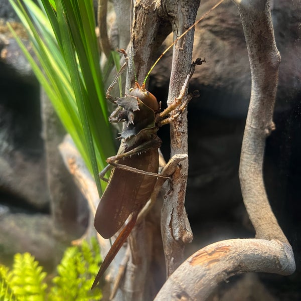 Balboa Park Butterfly Garden Balboa Park 0 tips