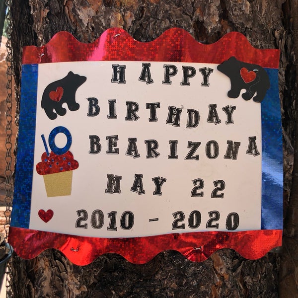 5/24/2020 tarihinde Jess G.ziyaretçi tarafından Bearizona'de çekilen fotoğraf
