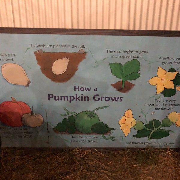 Mother Nature's Farm Farm