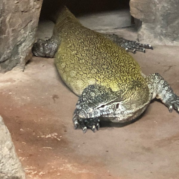 Снимок сделан в Wildlife World Zoo, Aquarium &amp; Safari Park пользователем Jess G. 7/4/2019