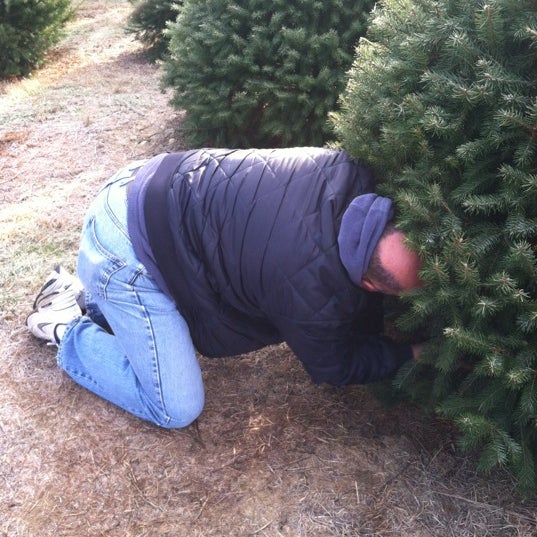 รูปภาพถ่ายที่ Wyckoff&#39;s Christmas Tree Farm โดย 🇮🇹 Maria 🇺🇸🐢 เมื่อ 12/15/2012