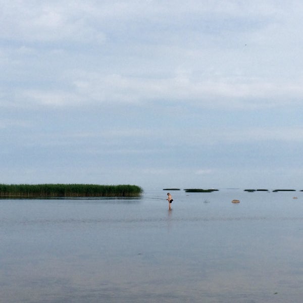 Пляж в мартышкино