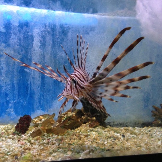 Leesburg Pet Center Pet Supplies Store