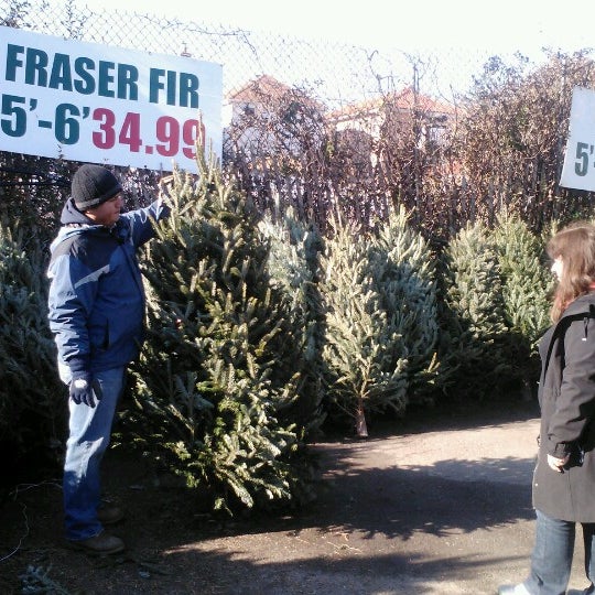 Queens Garden Nursery Whitestone 0 tips