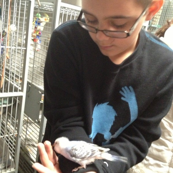 Chicago Bird House - Pet Store