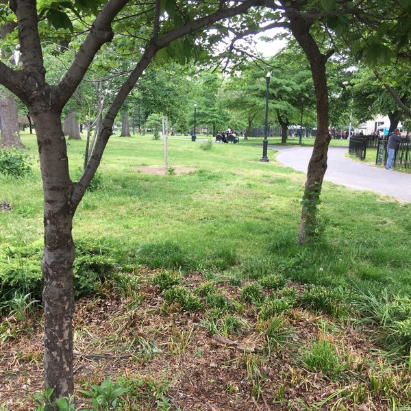 Rufus King Park Jamaica 6 tips from 469 visitors