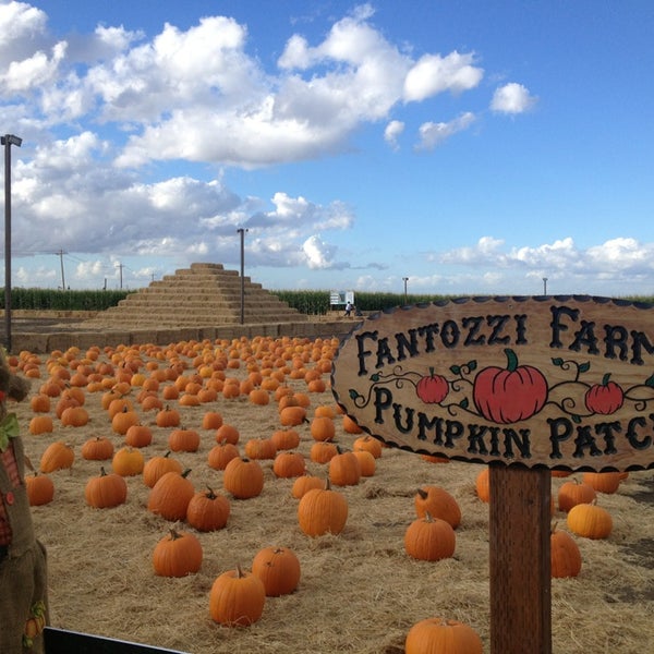 10/25/2014에 Renee V.님이 Fantozzi Farms Corn Maze and Pumpkin Patch에서 찍은 사진