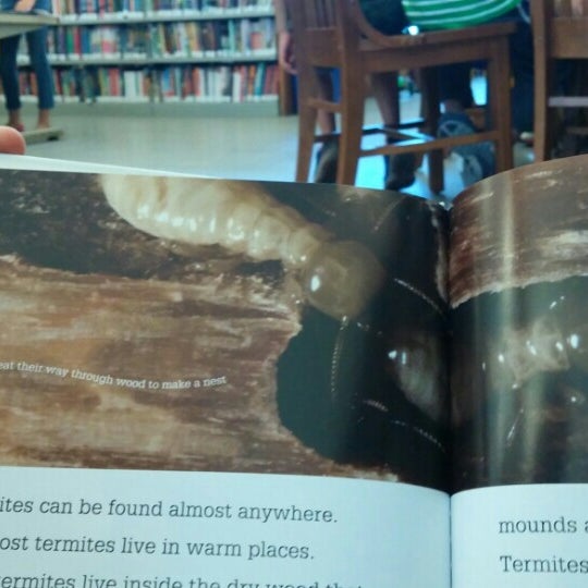 Photos at NY Public Library Chatham Square Library Two Bridges