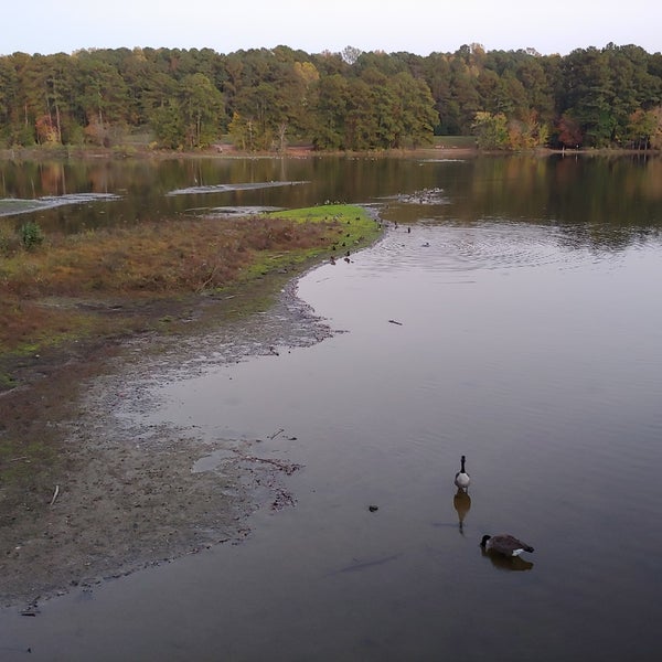 Shelley Lake Trail Hiking Trail in Raleigh