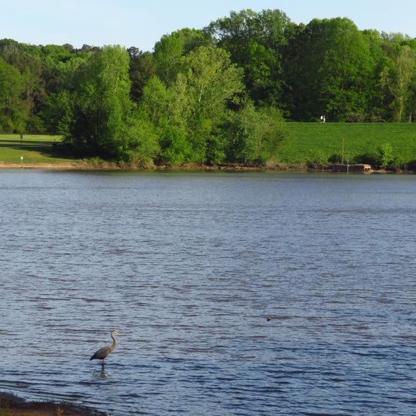 Shelley Lake Trail Hiking Trail in Raleigh