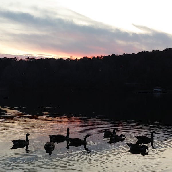 Shelley Lake Trail Hiking Trail in Raleigh