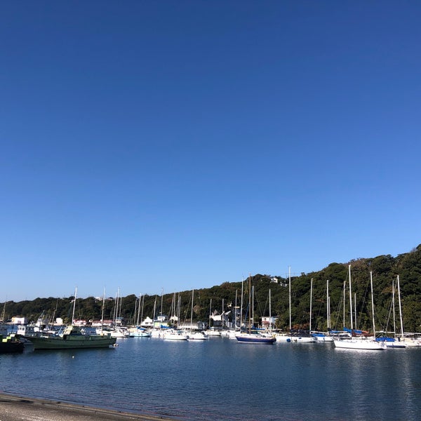 Photos At 小網代ヨットクラブ Harbor Marina In 三浦市