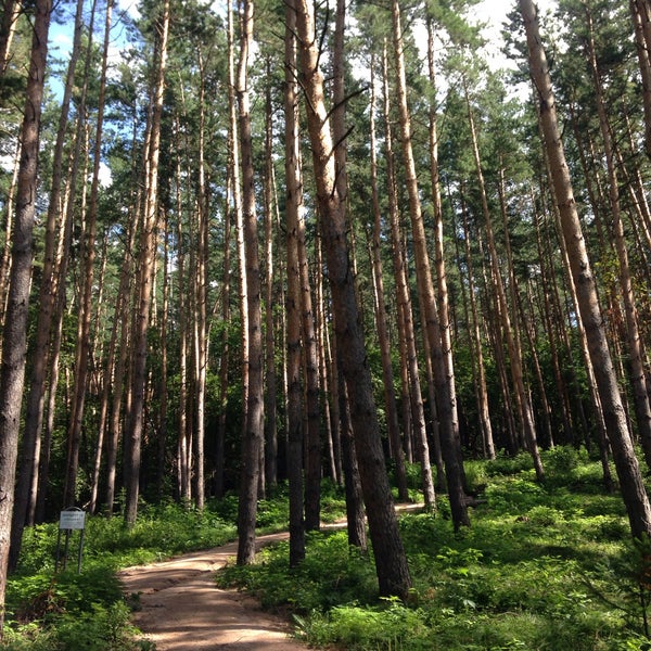 Парк терренкур сестрорецк