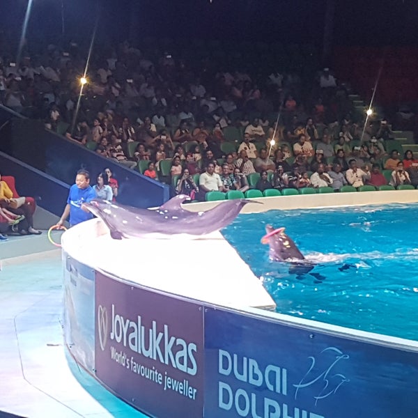 Foto tirada no(a) Dubai Dolphinarium por Aathirayan S. em 9/22/2017