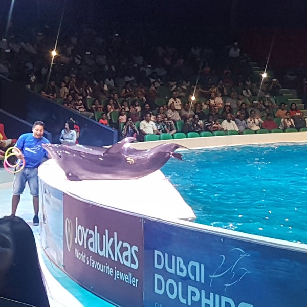 9/22/2017 tarihinde Aathirayan S.ziyaretçi tarafından Dubai Dolphinarium'de çekilen fotoğraf
