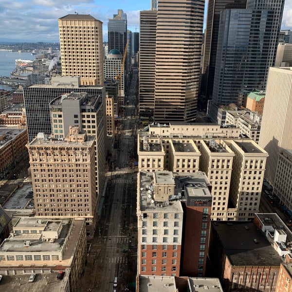 Observation essay example free picture