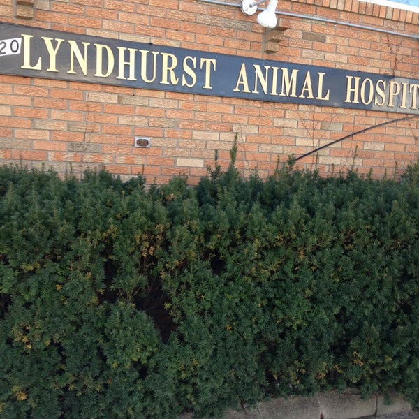 Lyndhurst Animal Hospital - 620 Ridge Rd