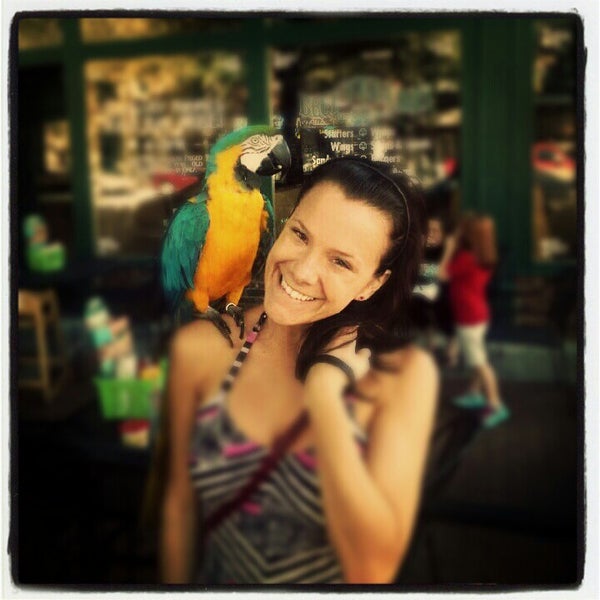 Covid19 Updates  Reopening Information Fayetteville