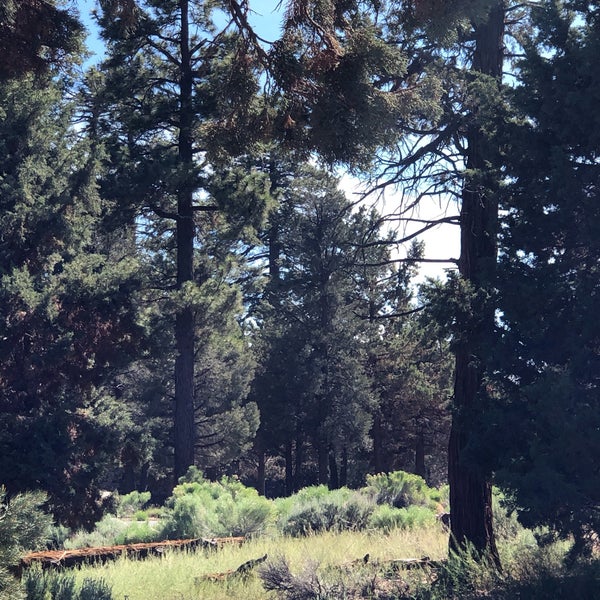 Photo taken at Big Bear Discovery Center by Sandi on 6/16/2019