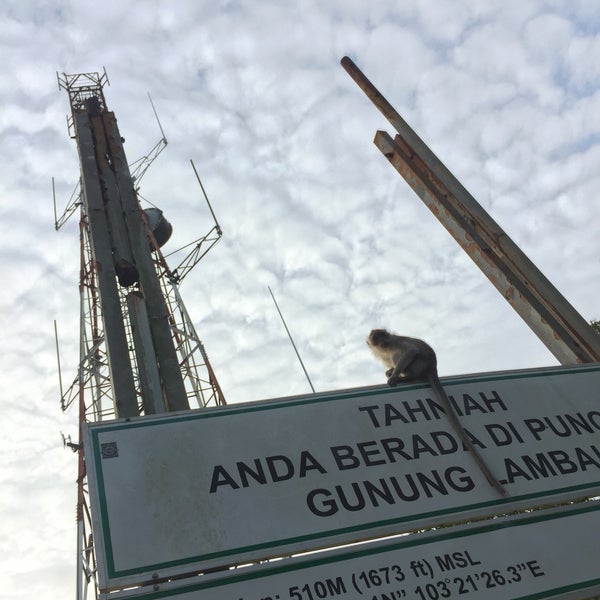 Photos At Puncak Gunung Lambak 1 Tip