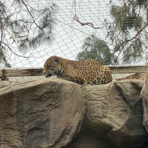 Photo taken at Happy Hollow Park &amp; Zoo by Norm Y. on 3/7/2020