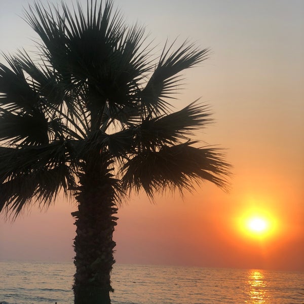 Das Foto wurde bei Palm Beach Cafe &amp; Restaurant von Seden A. . am 6/25/2019 aufgenommen