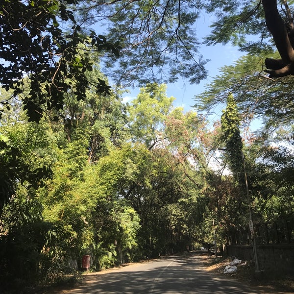 Koregaon Park Pune, Mahārāshtra