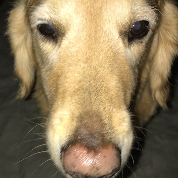 Photos at Regal Pavilion & RPX Port Orange, FL