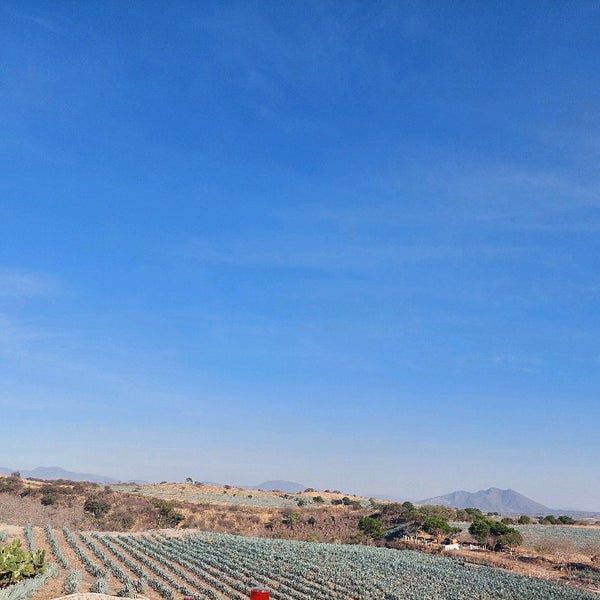 Expendio De Tequila El Columpio Tequila, Jalisco