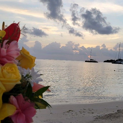 Sandals Negril Beach Resort & Spa - Resort in Negril