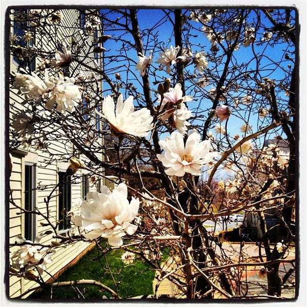 Hillside Apartments Baltimore, MD