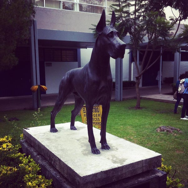 Снимок сделан в UNAM Facultad de Medicina Veterinaria y Zootecnia пользователем Francisco S. 8/21/2015