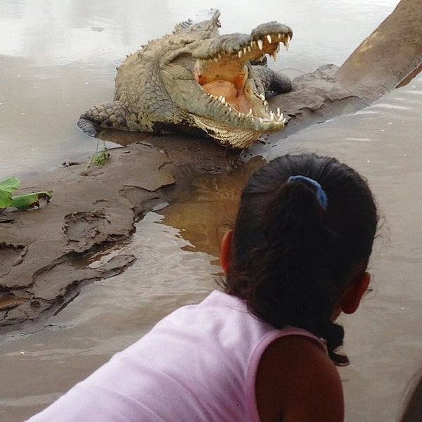 Das Foto wurde bei Jose&#39;s Crocodile River Tour von Croocodile T. am 8/14/2014 aufgenommen